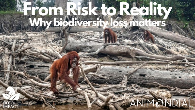 The Risks Reality From Risk to Reality: Why Biodiversity Loss Matters - ANIMONDIAL
